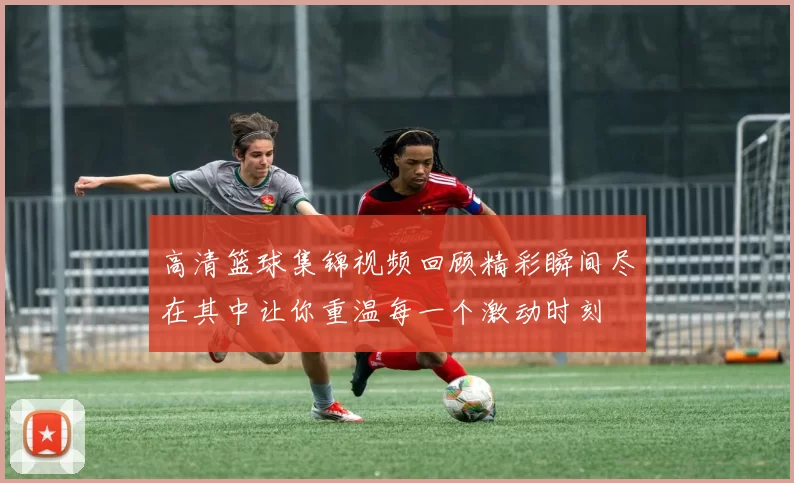 高清篮球集锦视频回顾精彩瞬间尽在其中让你重温每一个激动时刻